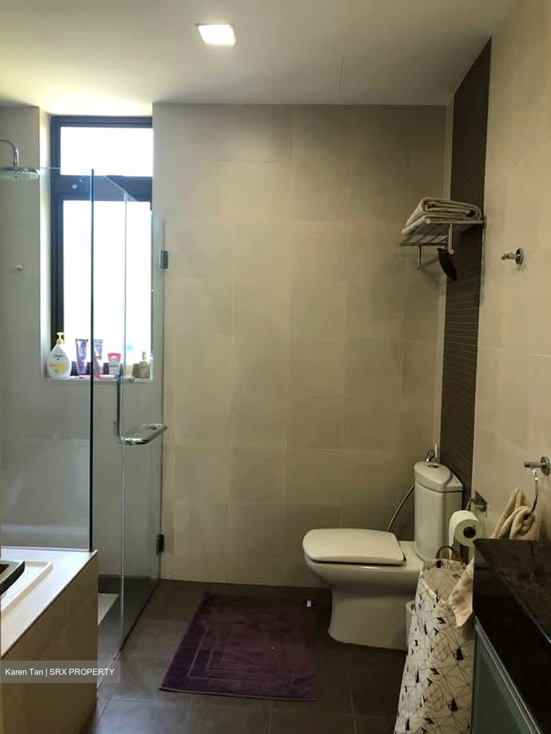 Astrid Meadows (D10), Condominium #575494351